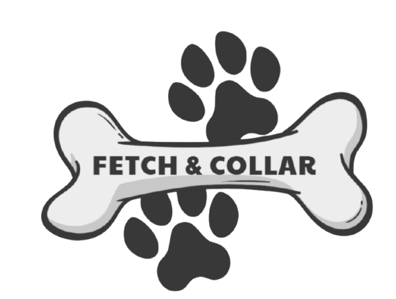 Fetch & Collar